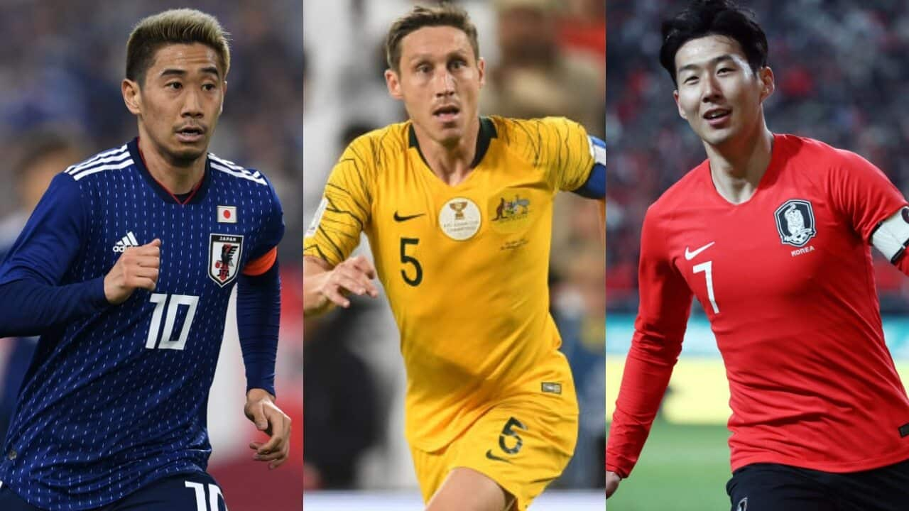 WATCH: AFC Preliminary draw - 2022 FIFA World Cup - LIVE STREAM | SBS Sport