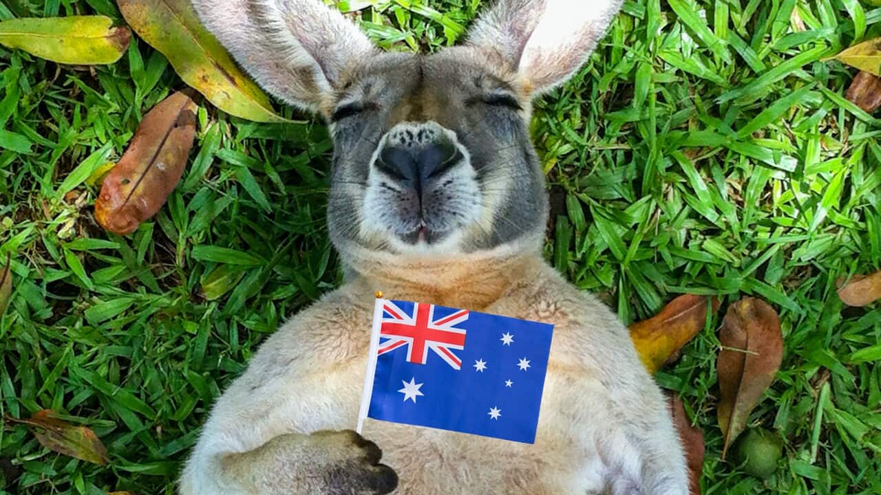 Image for read more article ''