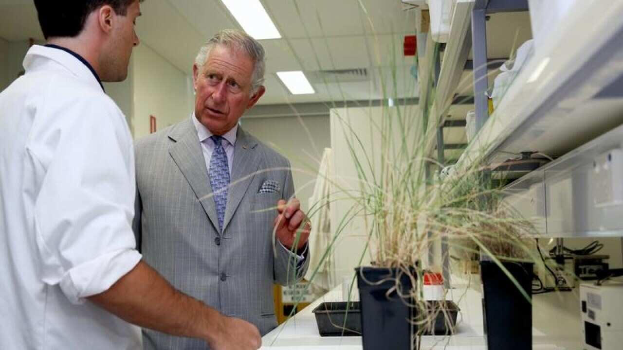 Prince Charles has a great interest in biodiversity conservation.
