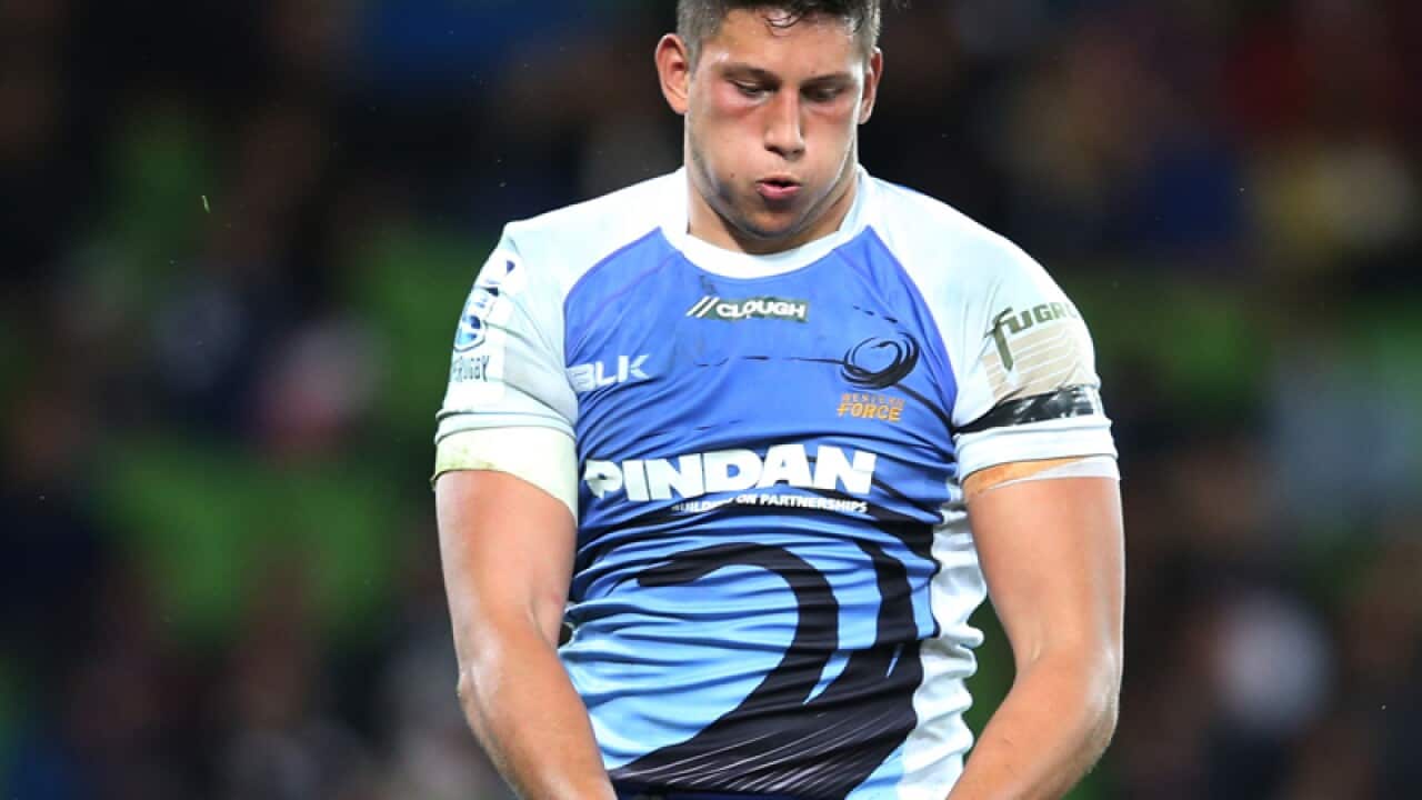 Western Force lock Adam Coleman