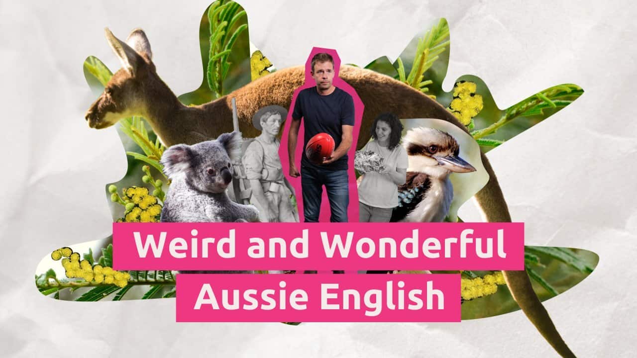 Image for read more article 'Watch and Learn'