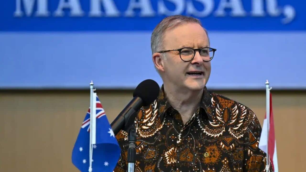 Albanese indonesia