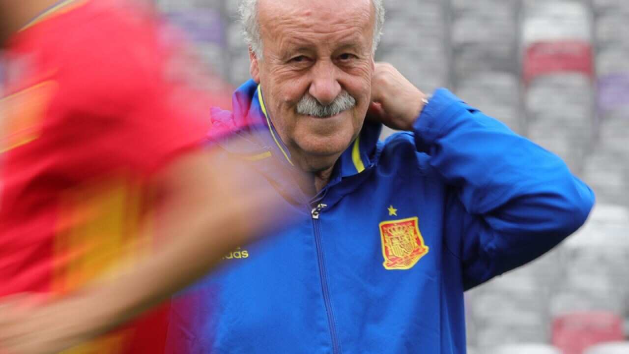 Spanish National soccer team head coach Vicente Del Bosque