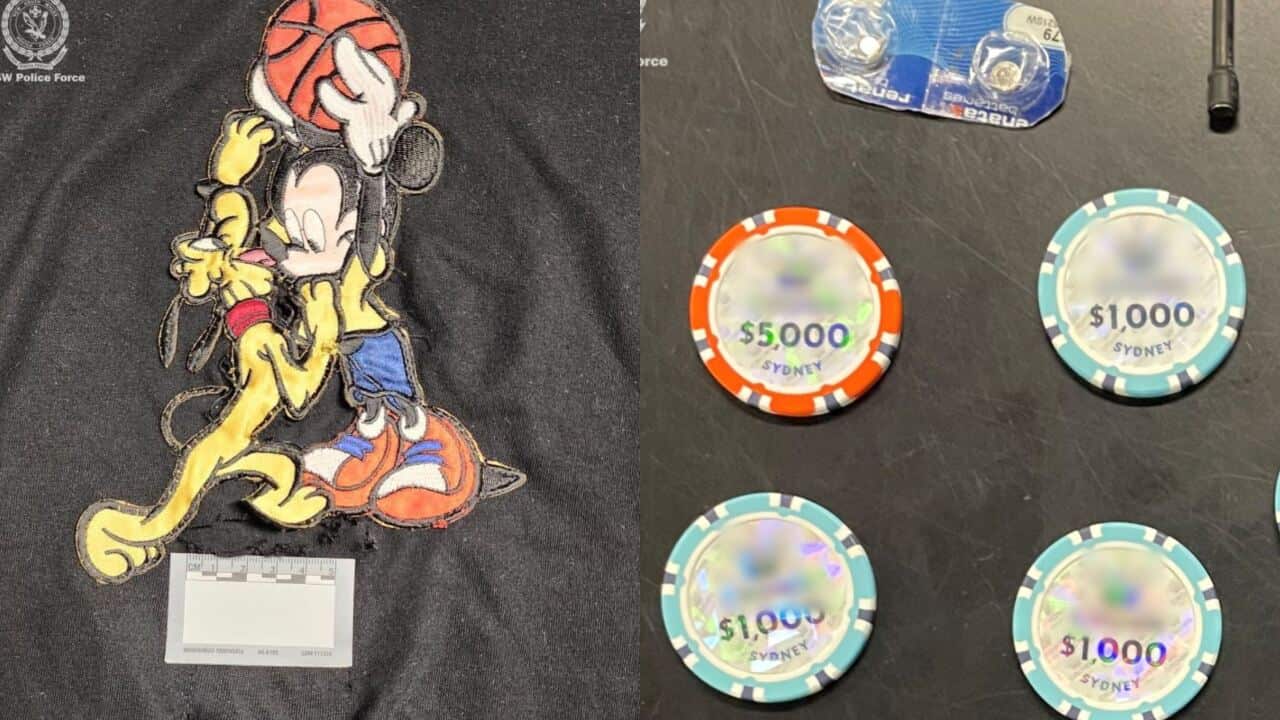 A number of items, including part of a t-shirt which appears to have a hole in it, some gambling chips and small batteries.
