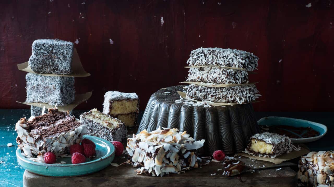 Lamington-opener.jpg