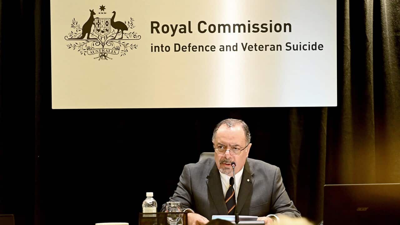 Commissioner Nick Kaldas at the Royal Commission into Defence and Veteran Suicide