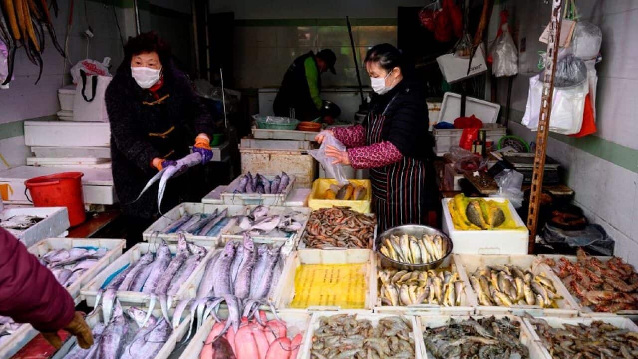 Chinese wet markets are at the centre of global health concerns.