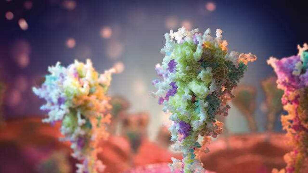 Image for read more article 'READ MORE'