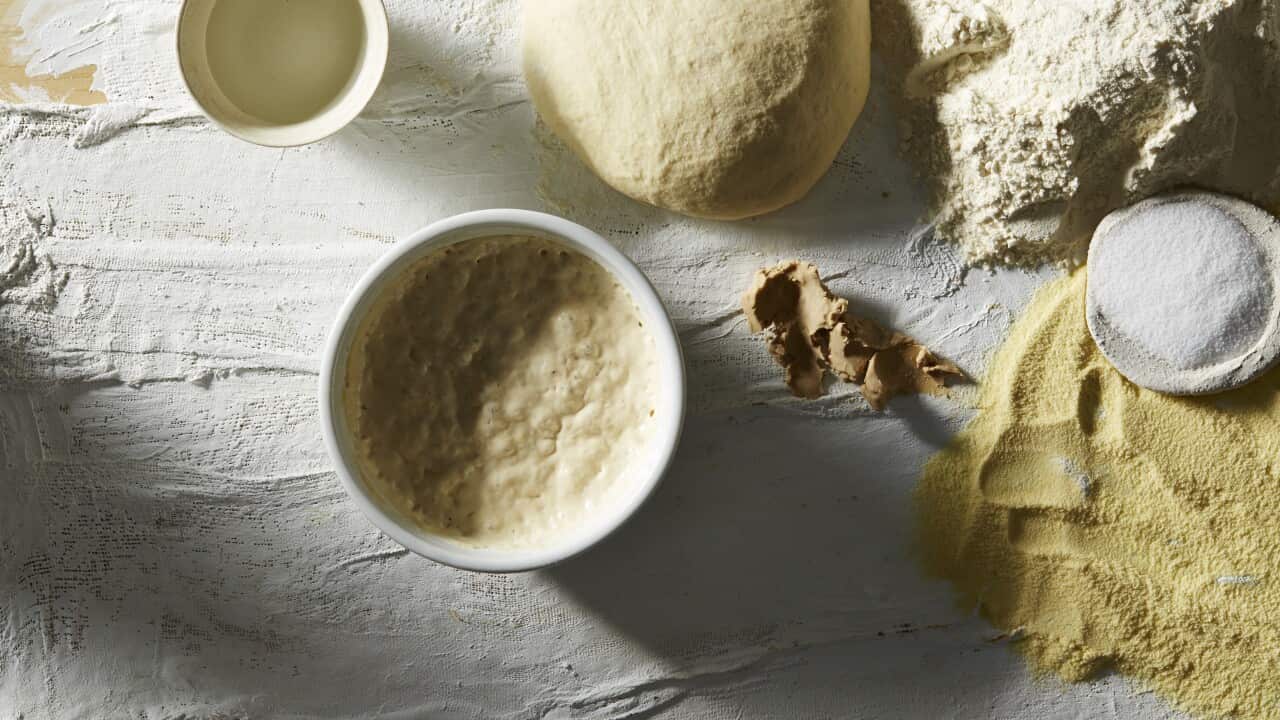 Pizza dough