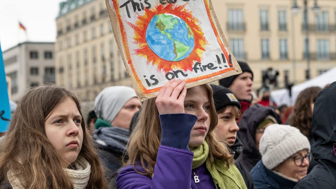 Youth hold signs calling for action on climate change