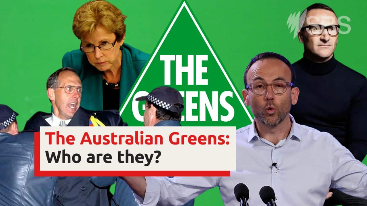 The Australian Greens A brief history SBS News