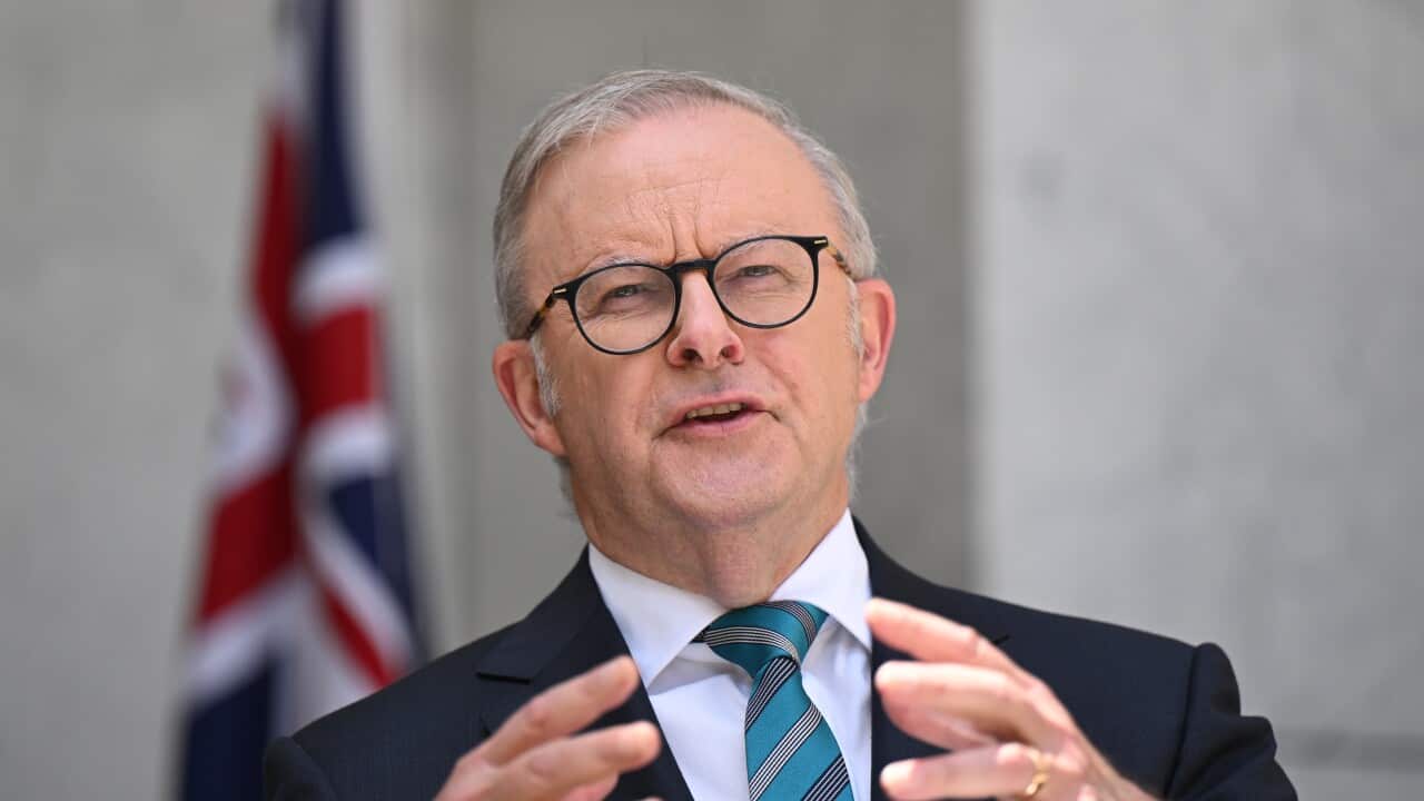 ANTHONY ALBANESE PRESSER