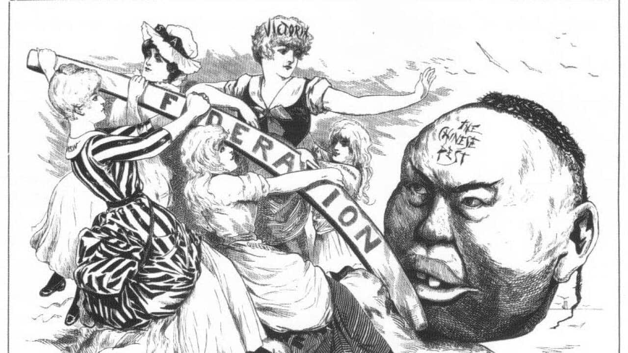 Anti-immigration cartoon with Victoria urging the Australian federation to rid itself of the “Chinese pest,”
May 1888