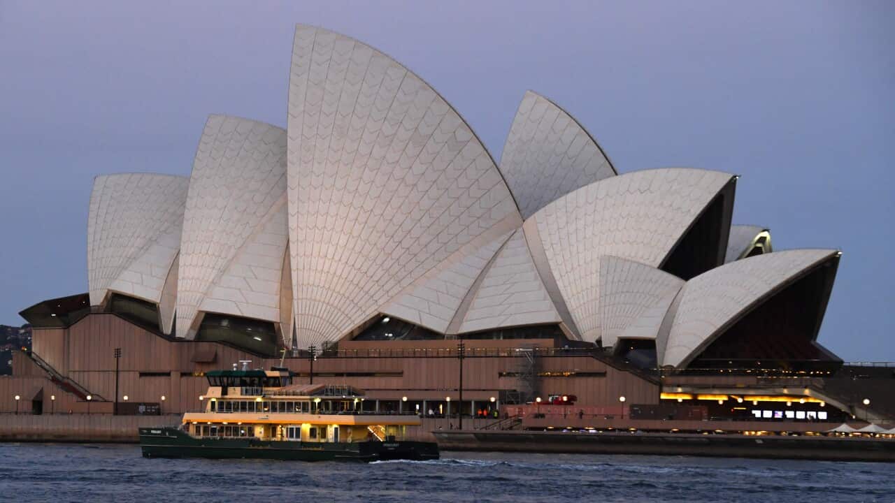 SYDNEY HARBOUR STOCK