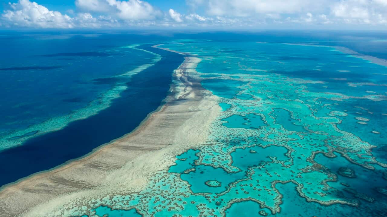 The Hardy Reef in the Great Barrier Reef is viewed from the air on June 22, 2014.  