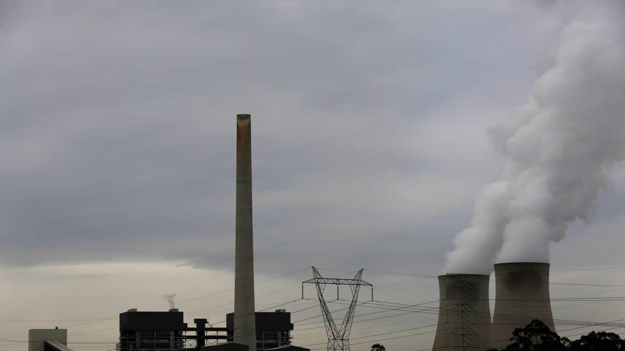 Climate change is being blamed for 2024 being the hottest year on record (AAP).