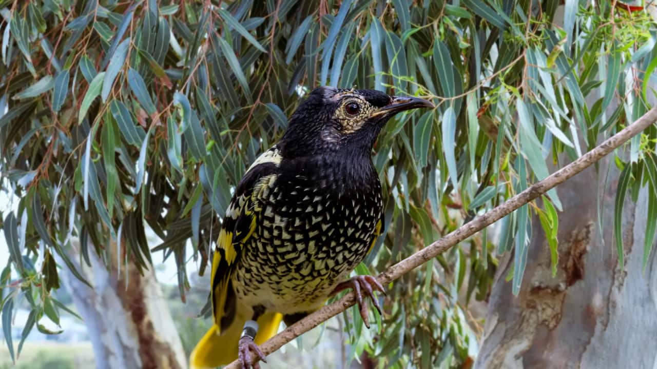 Image for read more article 'Más noticias:'