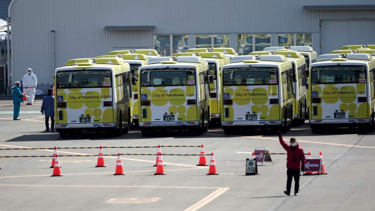 Buses wait for the passengers disembarking from the quarantined Diamond Princess cruise ship