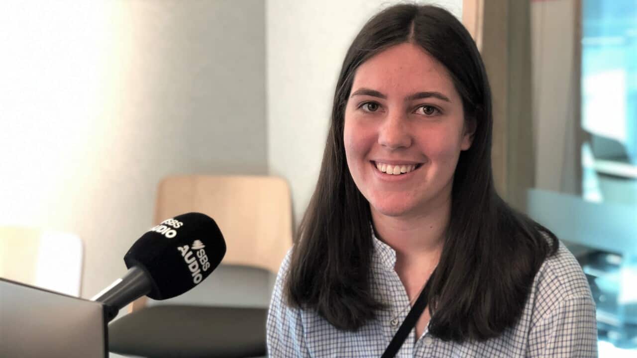 WhatsApp Image 2025-09-12 at 2.29.56 PM.jpeg