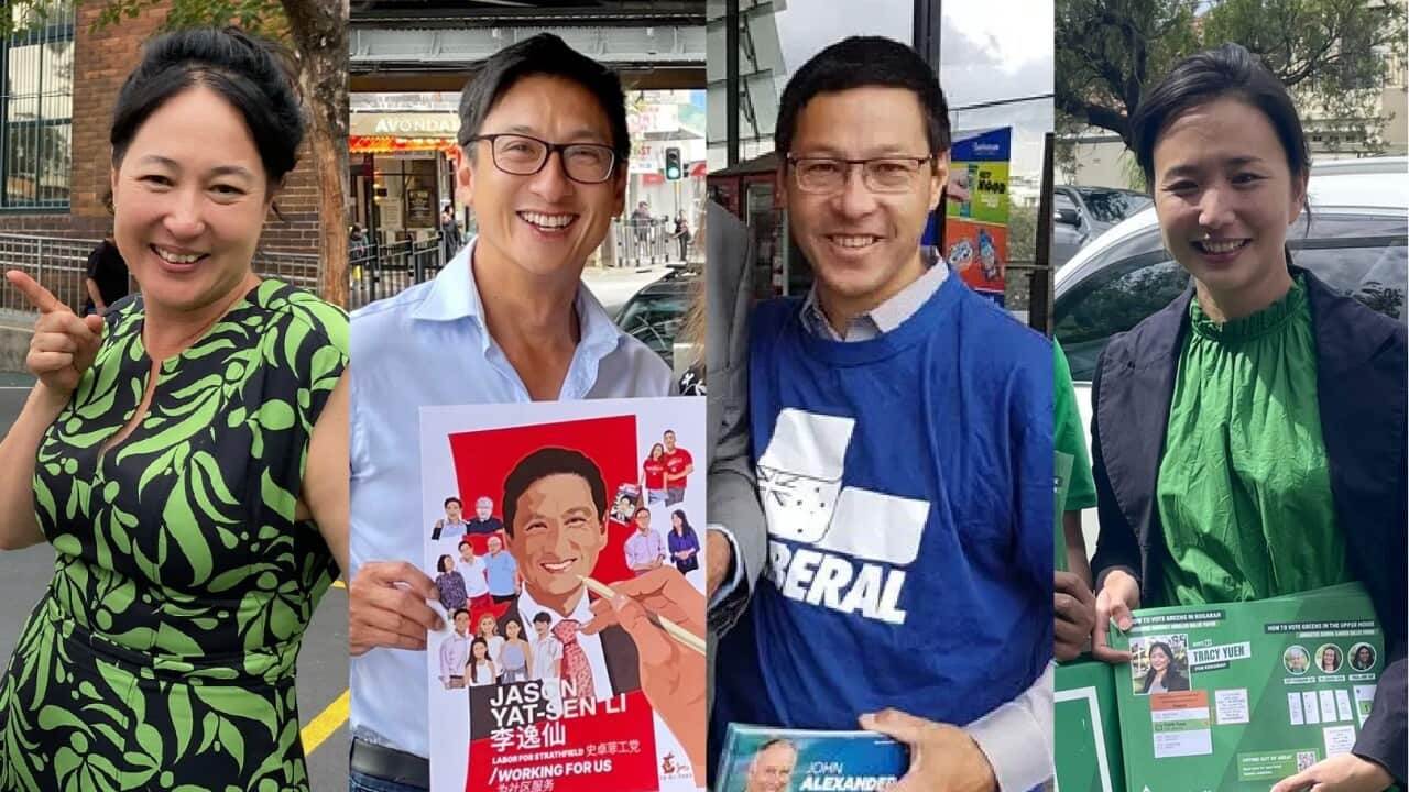Chinese candidate NSW election