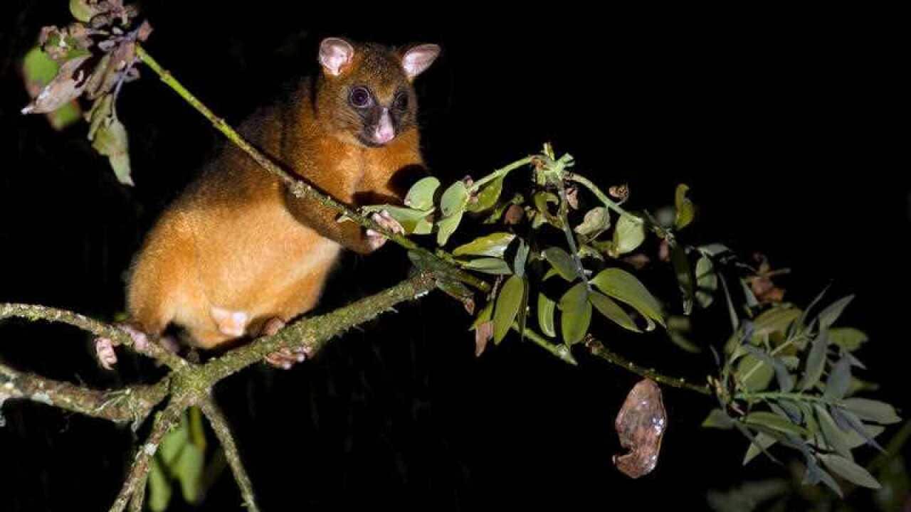 Image for read more article ''