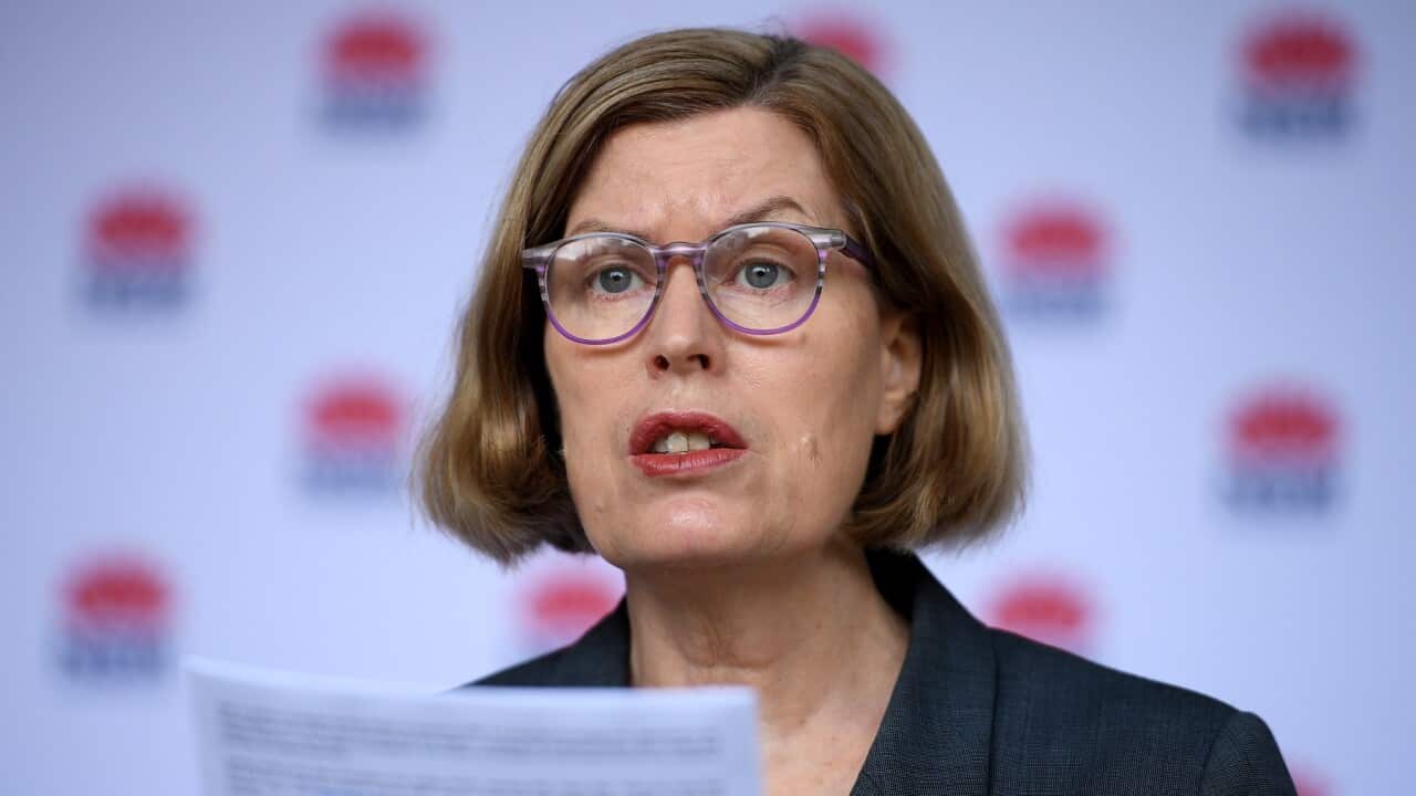 NSW Chief Health Officer Dr Kerry Chant provides a COVID-19 update during a press conference at St Leonards, Sydney, Tuesday, December 29, 2020. (AAP Image/Dan Himbrechts) NO ARCHIVING