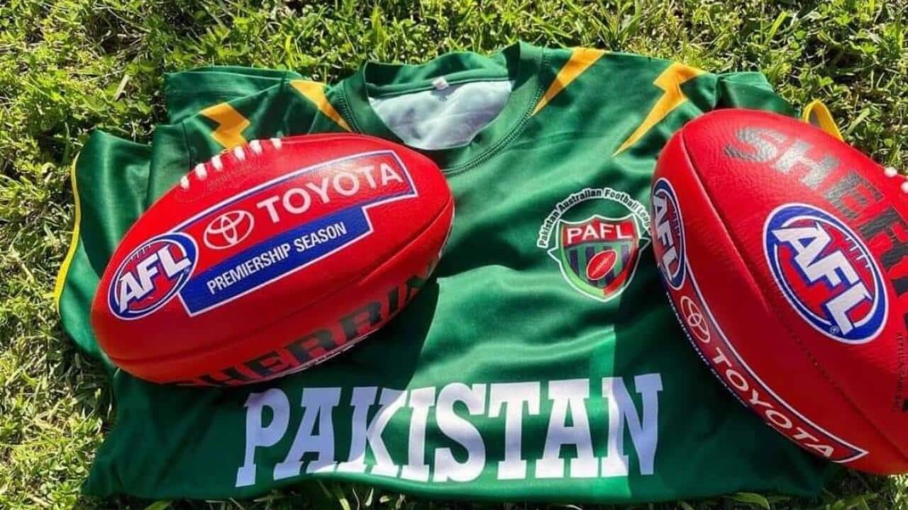 WhatsApp Image 2024-10-10 at 9.49.23 AM (1).jpeg