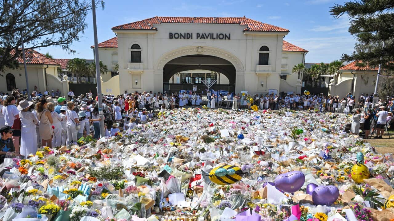 BONDI BEACH SHOOTING