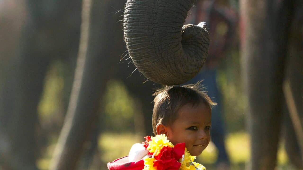 epaselect NNEPAL TRADITION