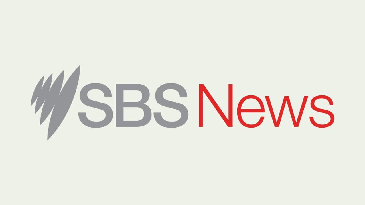 sbs news