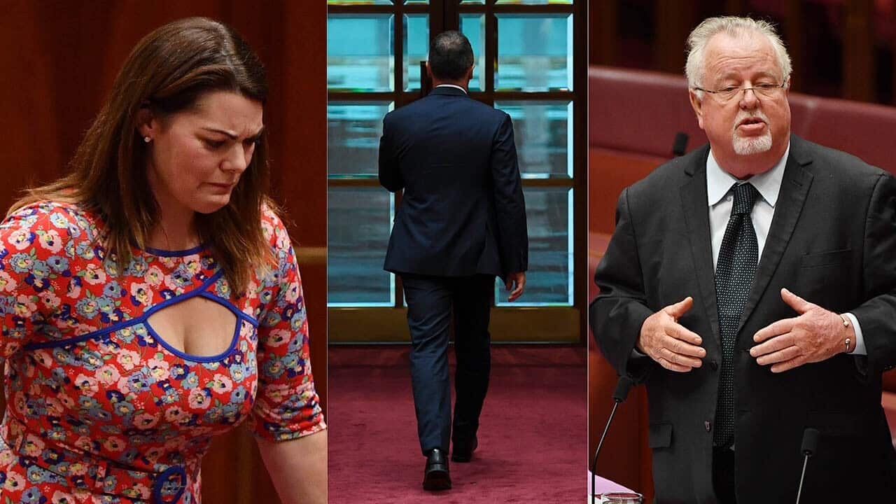 Despite being roundly condemned by all sides of the Senate, it wasn’t Barry O’Sullivan who was ejected from the chamber on Tuesday afternoon.