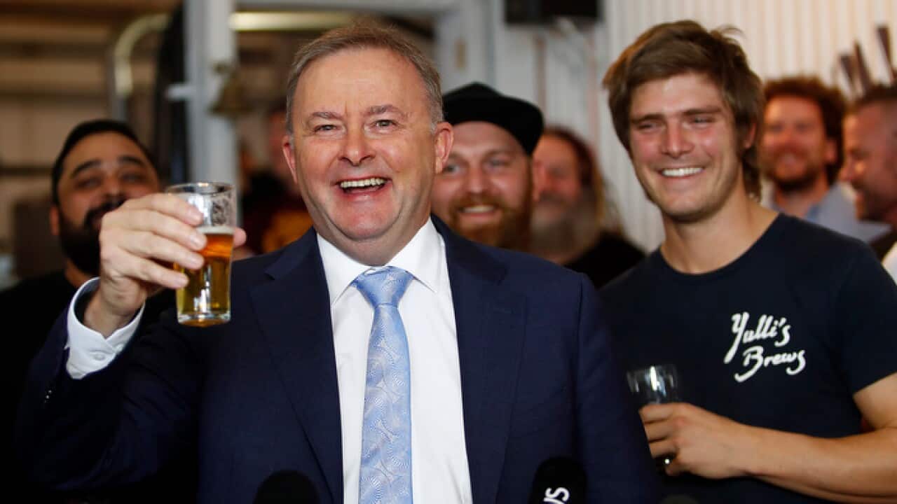Anthony Albanese cheers with a beer during a visit the Willie the Boatman brewery in Sydney, Friday, May 4, 2018.