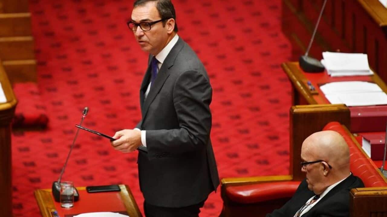 Steven Marshall during Joint sitting of SA parliament.