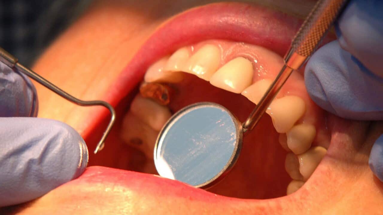 dentist check up