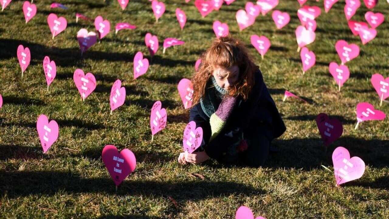 'Sea of Hearts' and an advocate