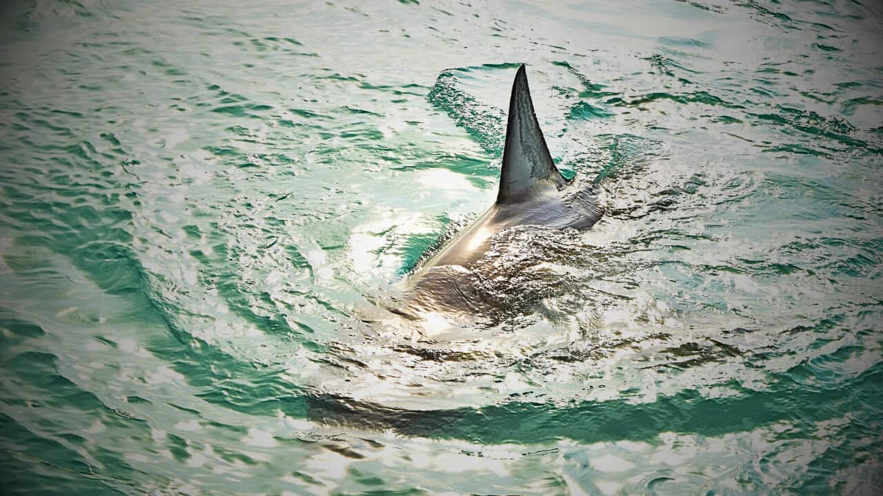 social media rules rnf 1280 x 720 px.png