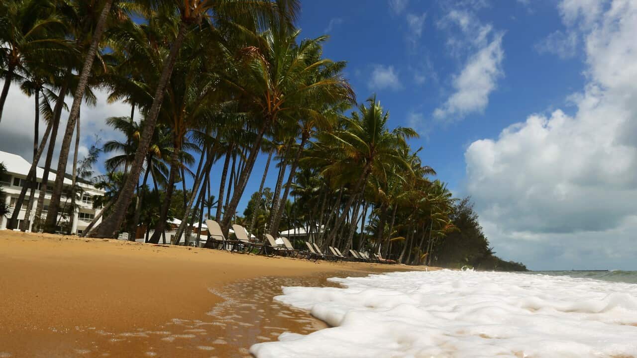 CAIRNS, AUSTRALIA - NOVEMBER 14: A general view of the beach is seen on November 14, 2012 in Palm Cove, Australia. Located in Far North Queensland, the Cairns region is one of Australia’s most popular travel destinations with a tropical climate and close