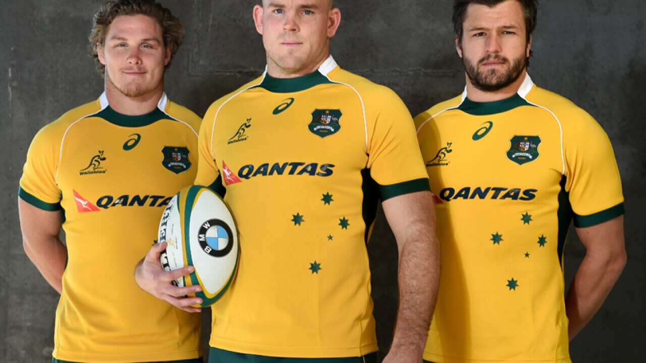 Australian Wallabies.