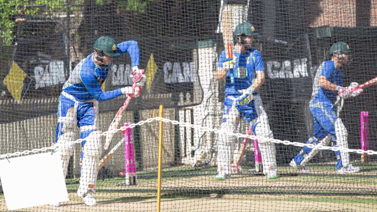 Australian cricketers during a training session