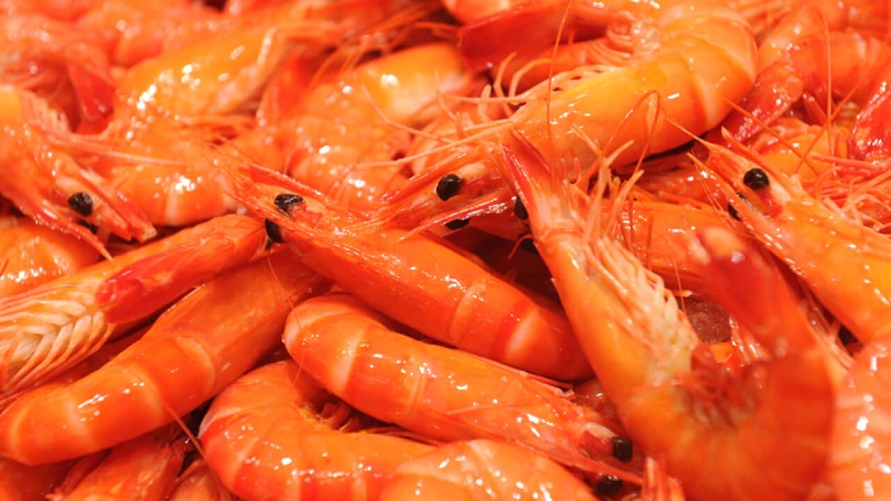 Prawns at a fish market