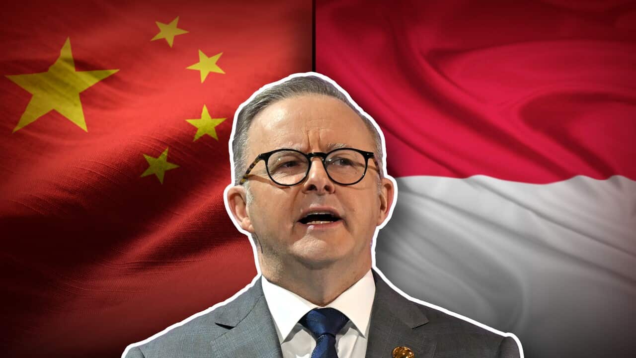 Image for read more article 'READ MORE'