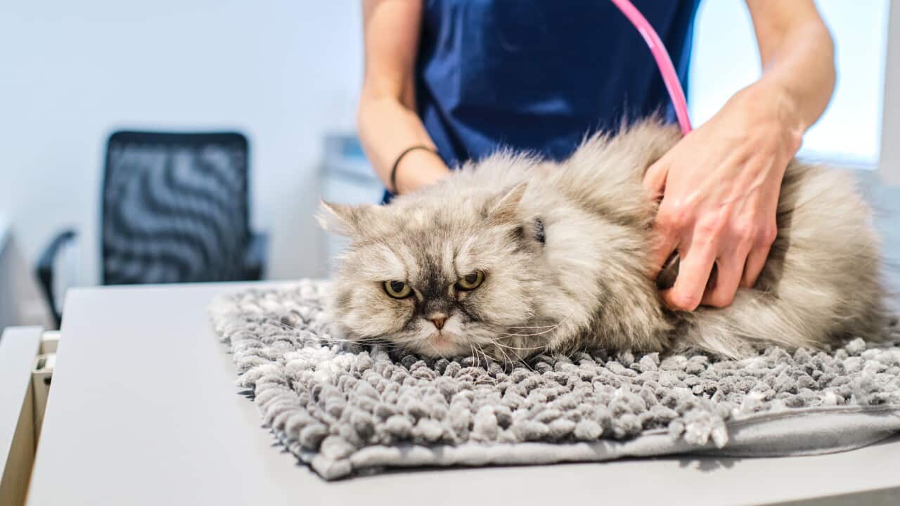 Image for read more article '其他內容'