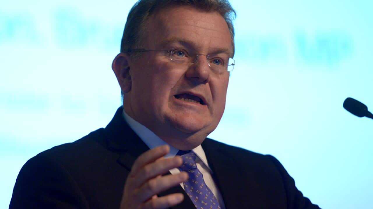 Former Small Business Minister Bruce Billson.