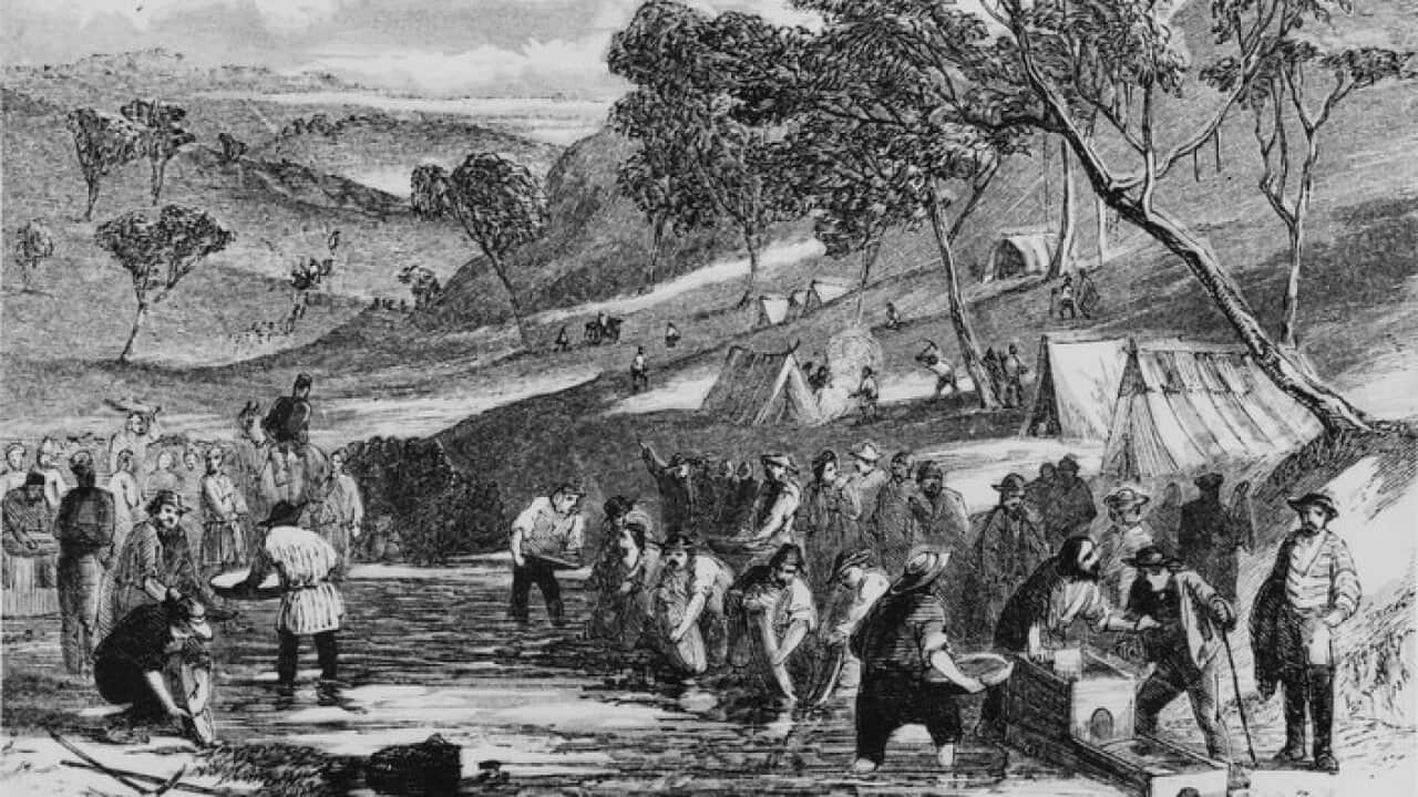 Gold Mining At Mount Alexander