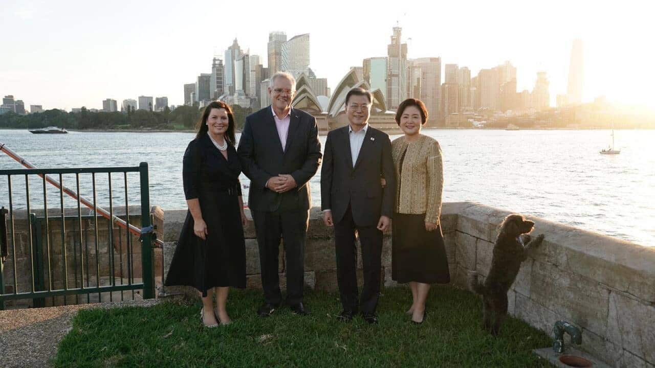 Moon Jae-in and Scott Morrison