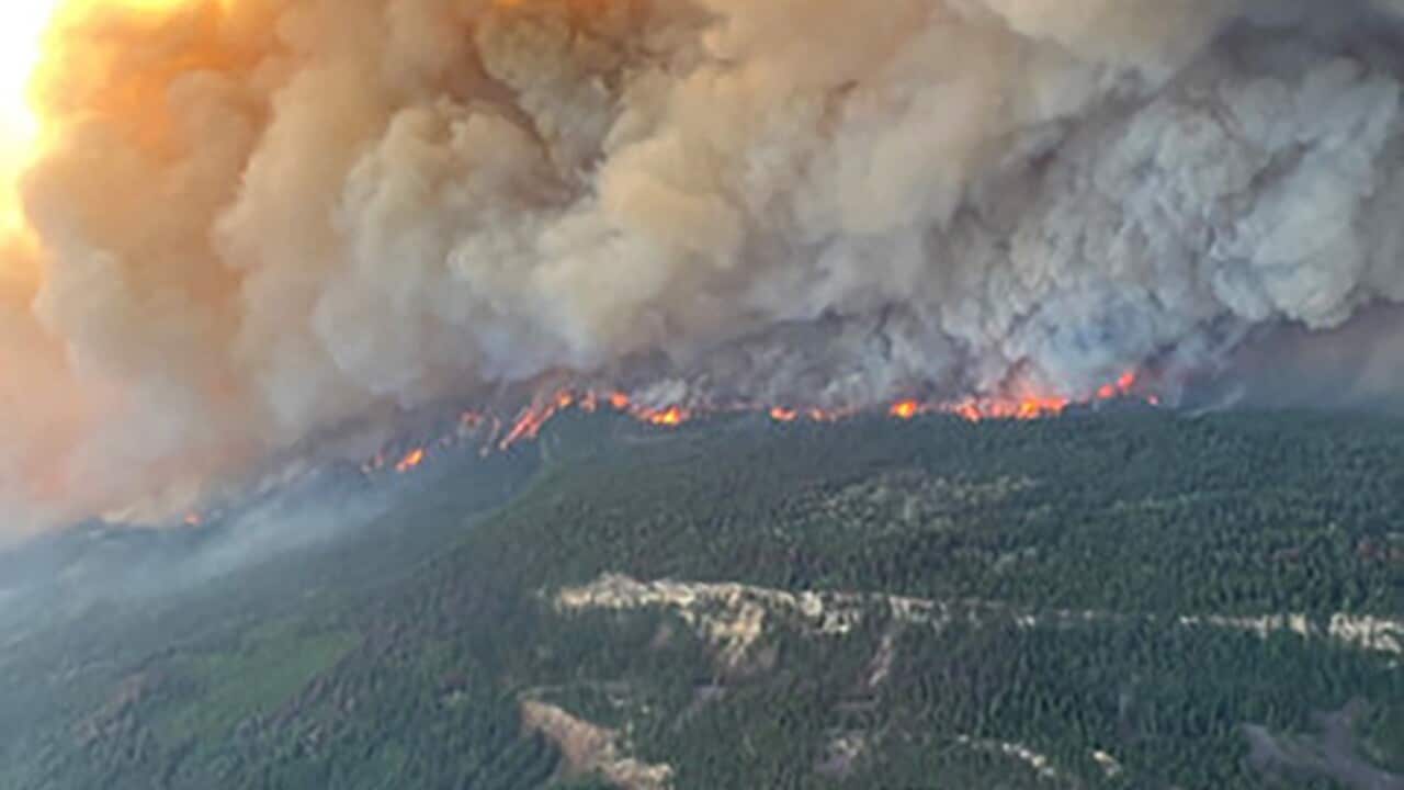 Wildfires burning in Canadian forests
