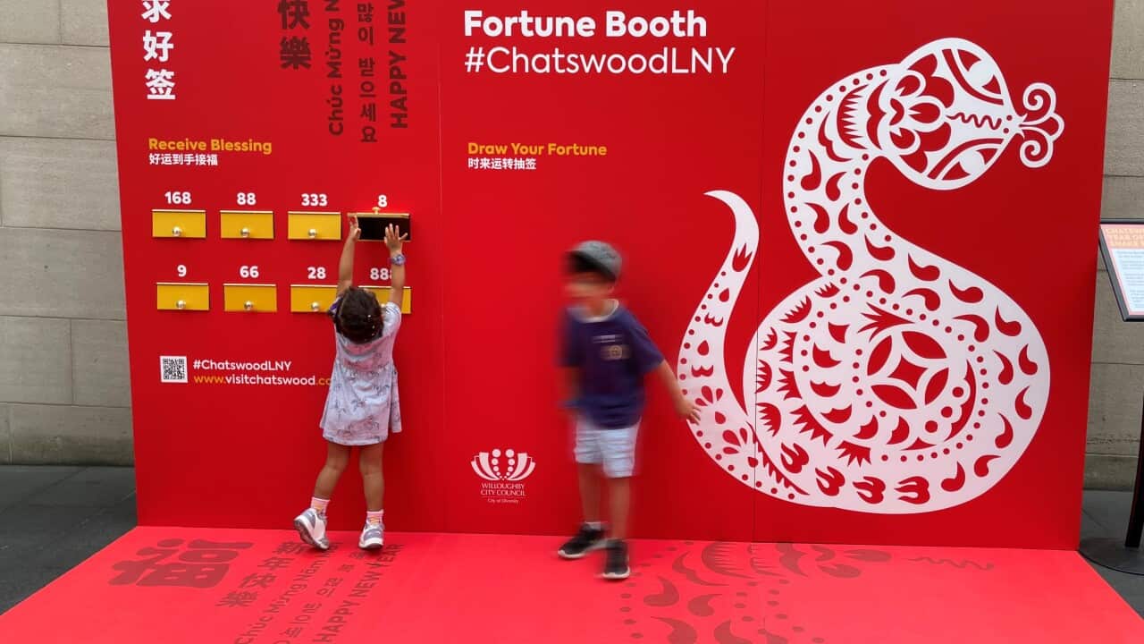 Chatswood Year of The Snake Festival (Provided by Tianli Zu).jpg