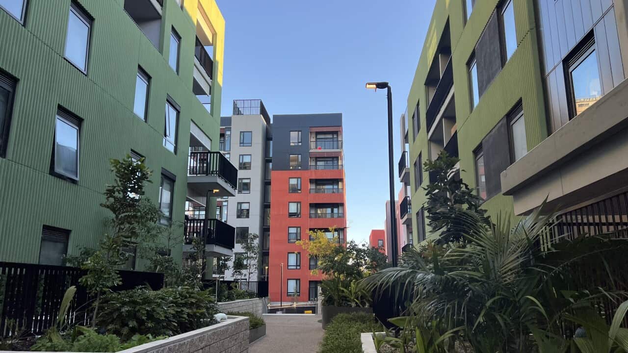 community housing 3.jpeg