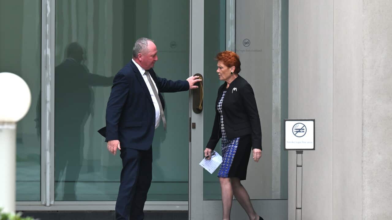 PAULINE HANSON PRESSER