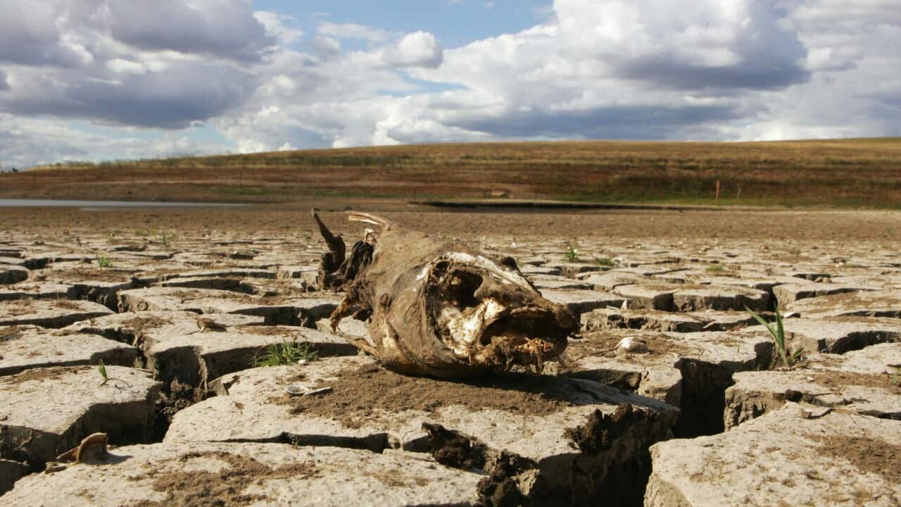 global_warming_getty.jpg